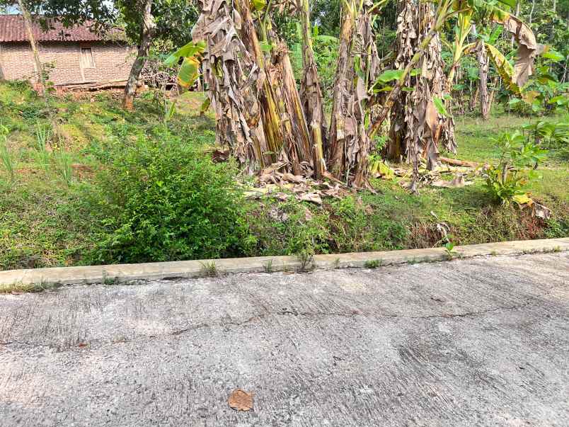 tanah super datar 300rb m 2000m karanganyar utara