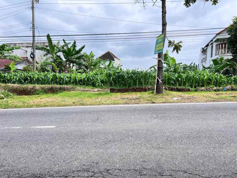 tanah super strategis 1000m tepi jl raya karangpandan