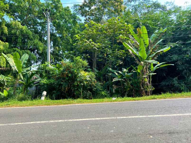 tanah tepi jl raya karanganyar