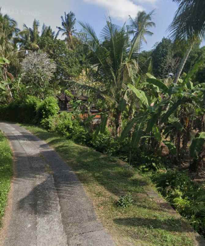 tanah zona kuning tidak lsd di mambang tabanan bali