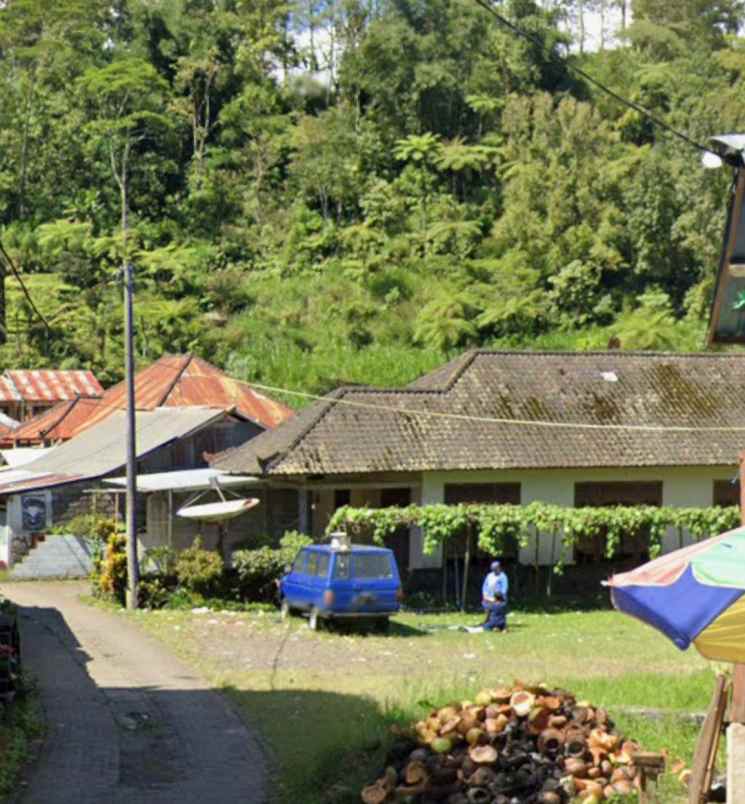 tanah zona pink hanya 3 menit ke danau di bedugul bali