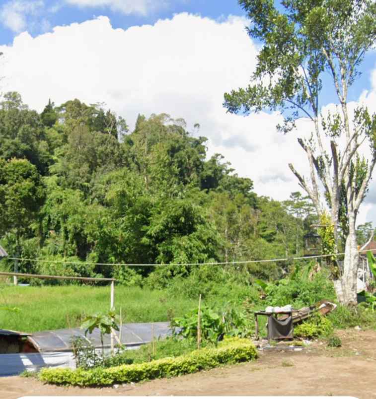 tanah zona pink hanya 3 menit ke danau di bedugul bali