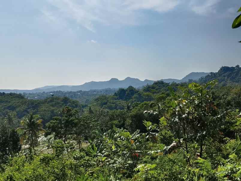 vila kebun produktif cijambe subang jawa barat