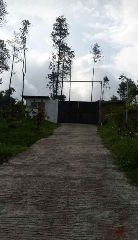 villa dan peternakan aktif di gunung kawi malang