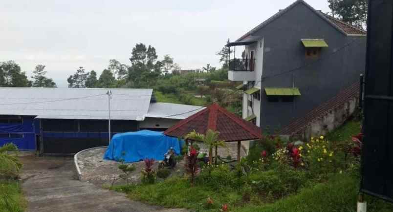 villa dan peternakan aktif di gunung kawi malang
