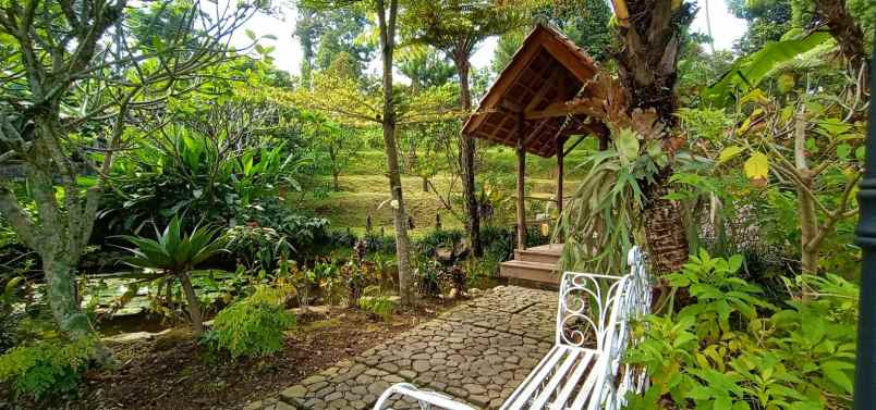 villa jl raya ciapus tamansari