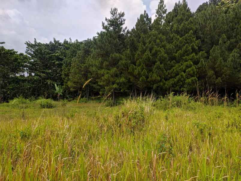 villa jl raya cipayung datar gn