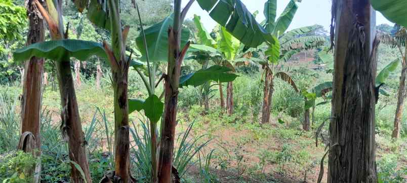 bismillah dijual tanah wilayah kota cianjur