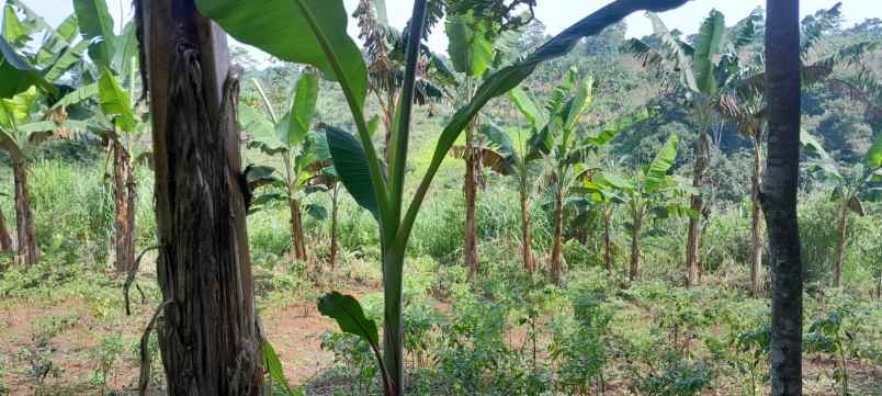 bismillah dijual tanah wilayah kota cianjur