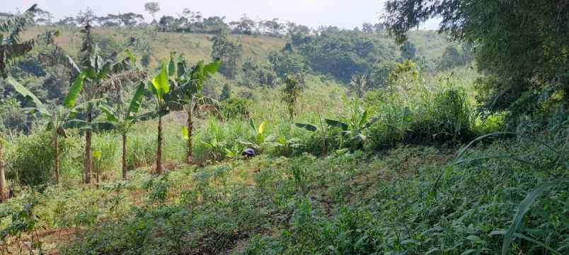 bismillah dijual tanah wilayah kota cianjur