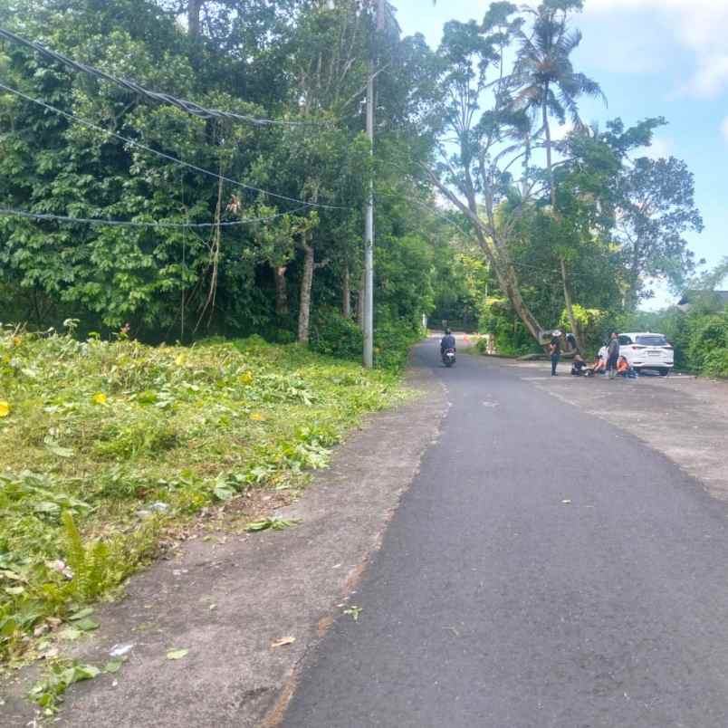 dijual 13 are jl alas kedaton kukuh marga tabanan