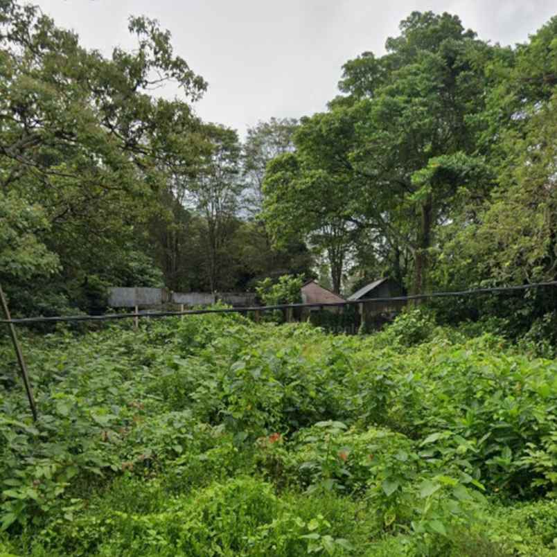 dijual 13 are jl alas kedaton kukuh marga tabanan