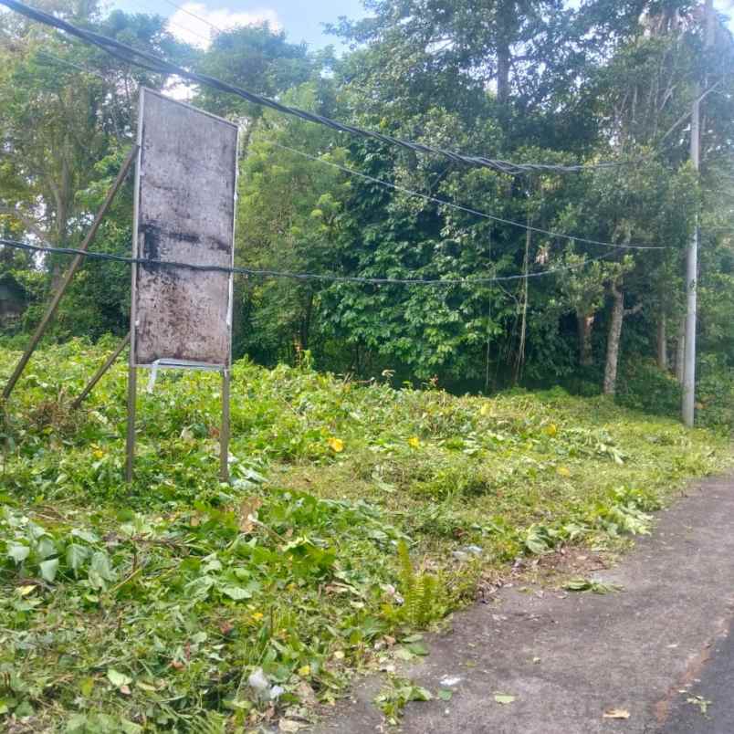 dijual 13 are jl alas kedaton kukuh marga tabanan