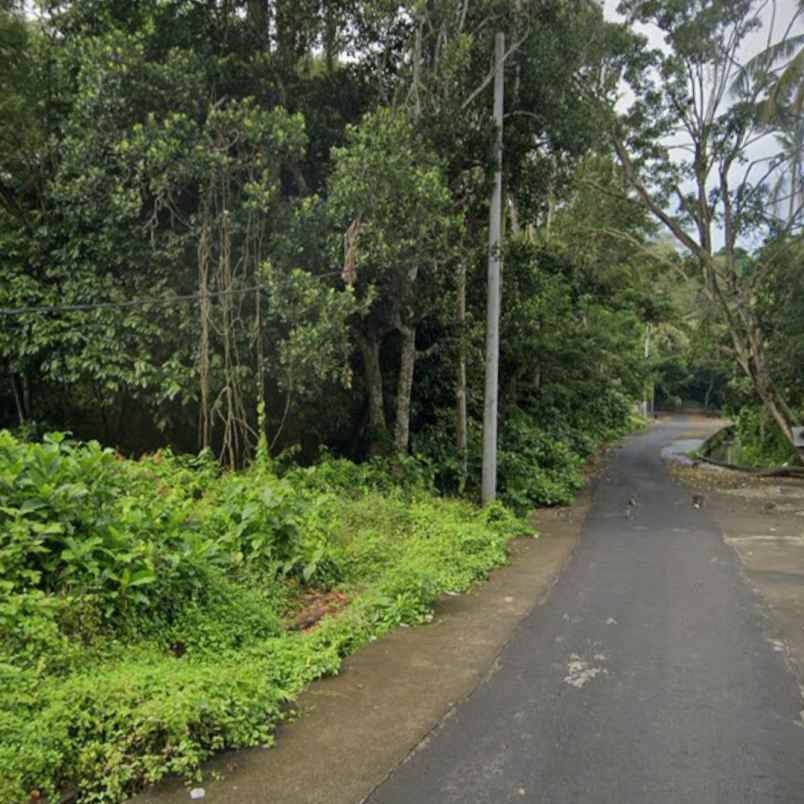 dijual 13 are jl alas kedaton kukuh marga tabanan
