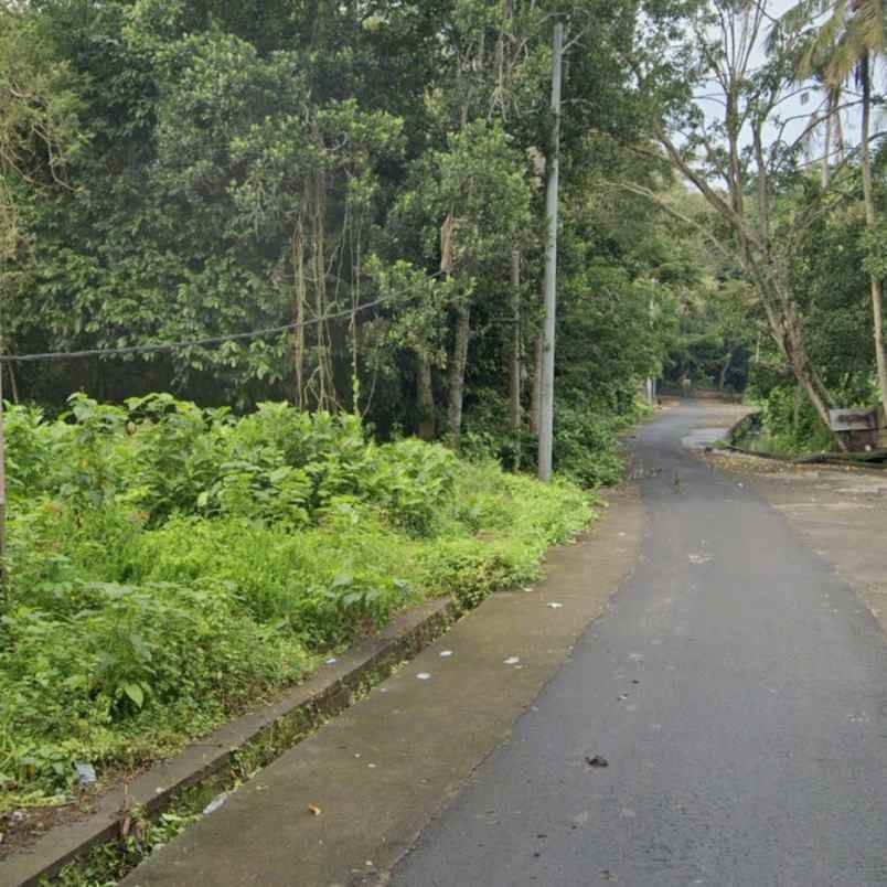 dijual 13 are jl alas kedaton kukuh marga tabanan