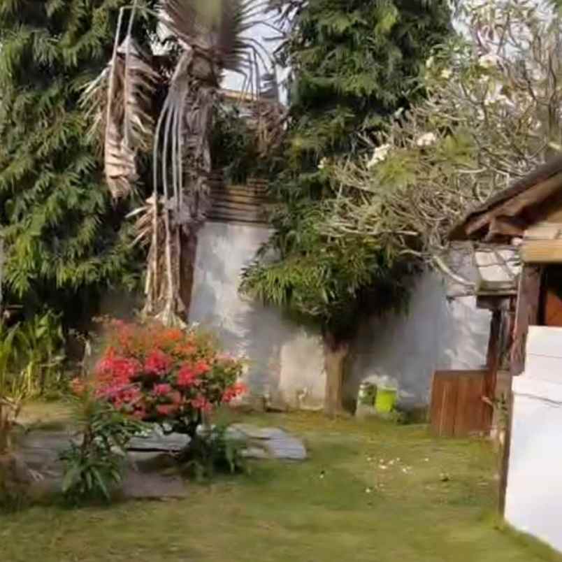dijual 5 are jl krisna berawa tandeg tibubeneng canggu
