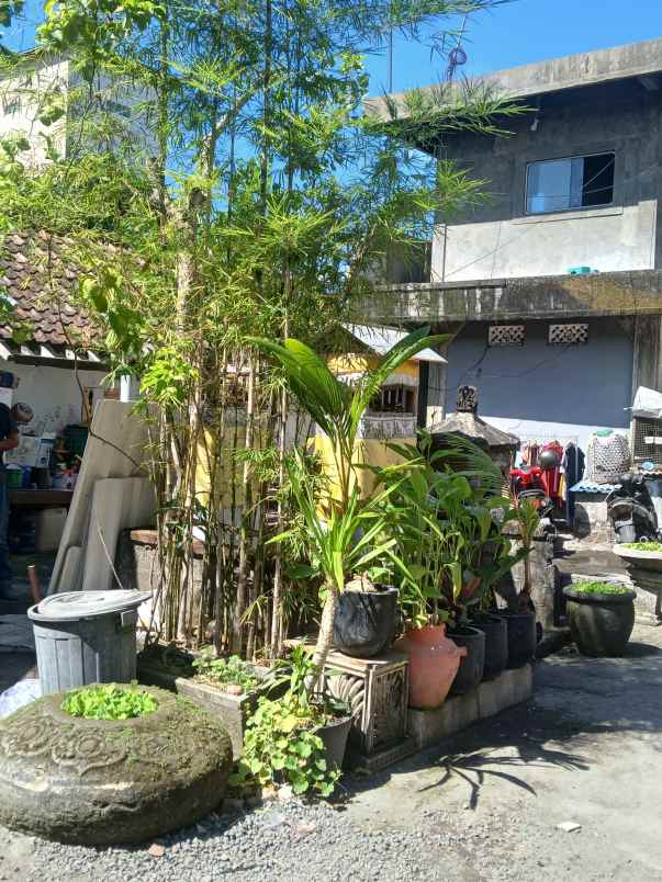 dijual 6 6 are jl utama bung tomo gatsu barat denpasar