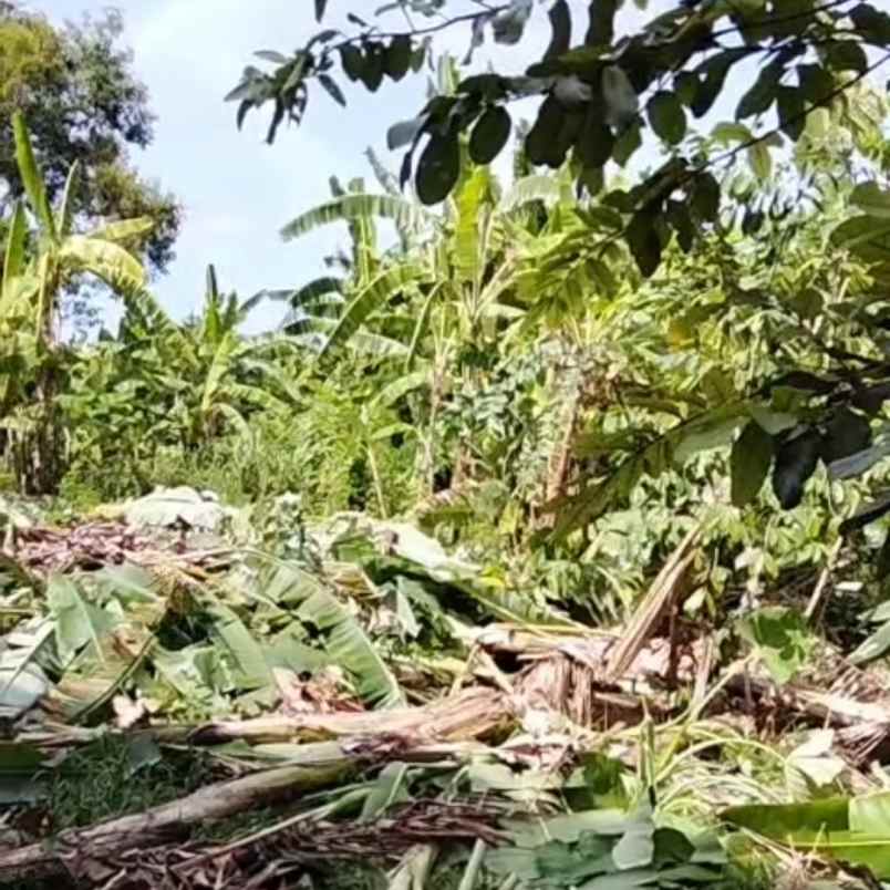 dijual 90m jl kubudayu pesanggaran sesetan denpasar