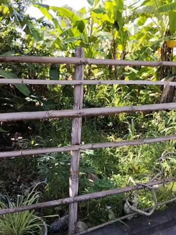 dijual 90m jl kubudayu pesanggaran sesetan denpasar