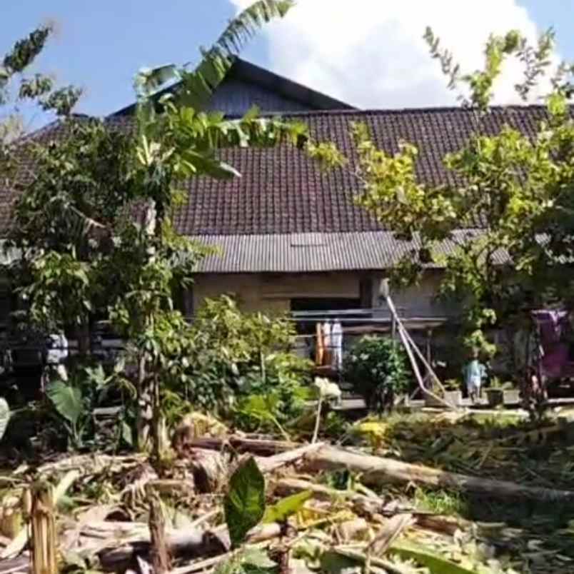 dijual 90m jl kubudayu pesanggaran sesetan denpasar