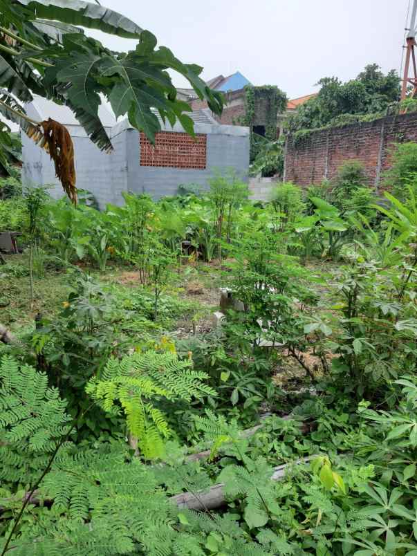 dijual cepat tanah jelidro