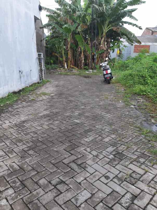 dijual cepat tanah jelidro