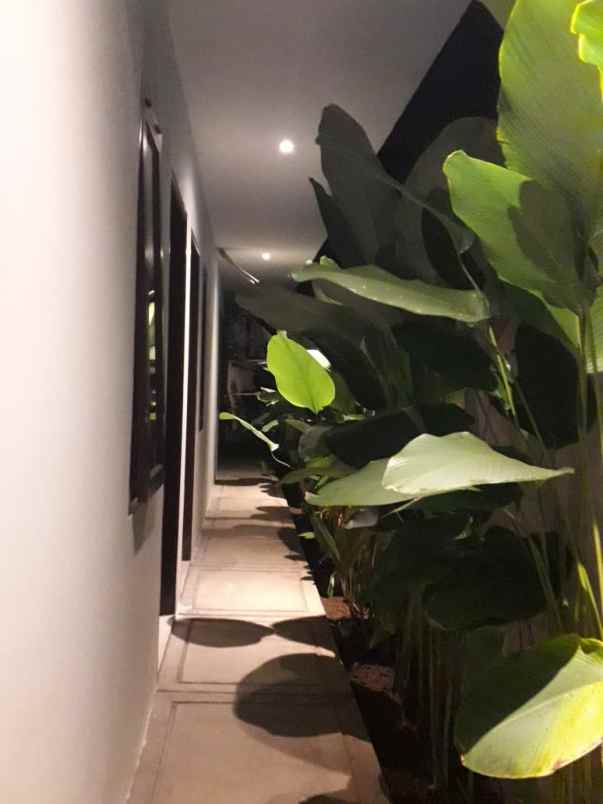 dijual kost bobotsari