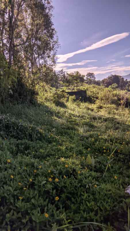 dijual lokasi tanah view gunung