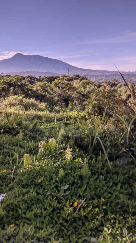 dijual lokasi tanah view gunung