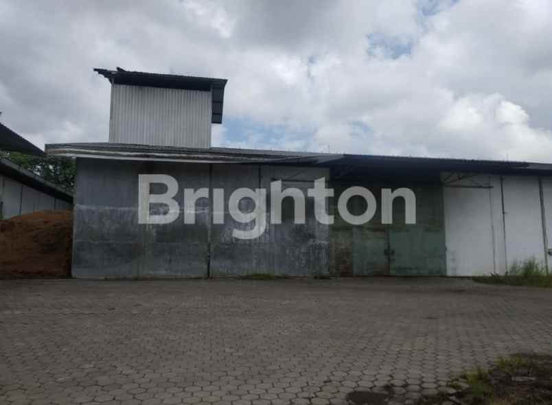 dijual ruko gudang kantor jember banyuwangi