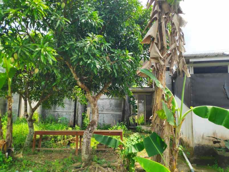 dijual ruko gudang kantor jl raya palembang sekayu