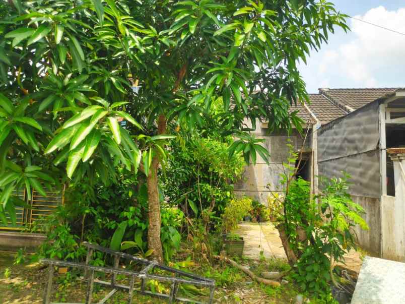 dijual ruko gudang kantor jl raya palembang sekayu