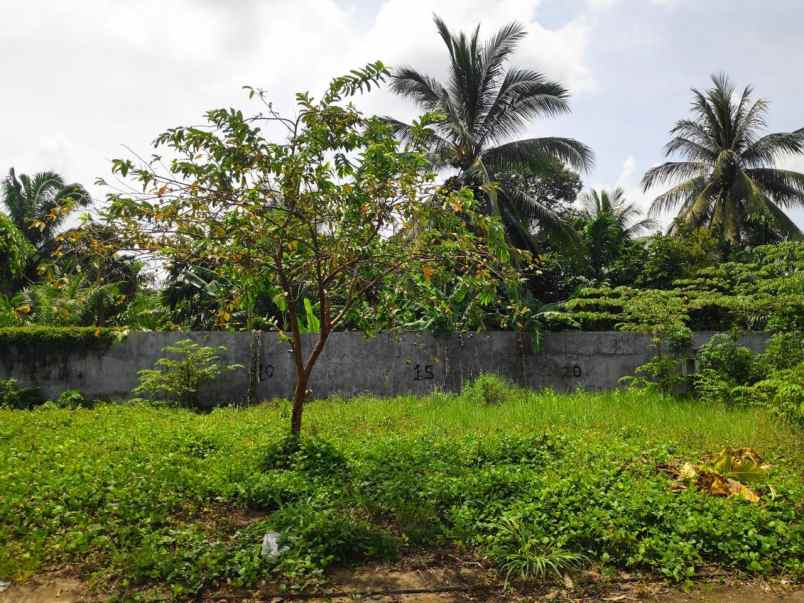 dijual ruko gudang kantor jl raya palembang sekayu