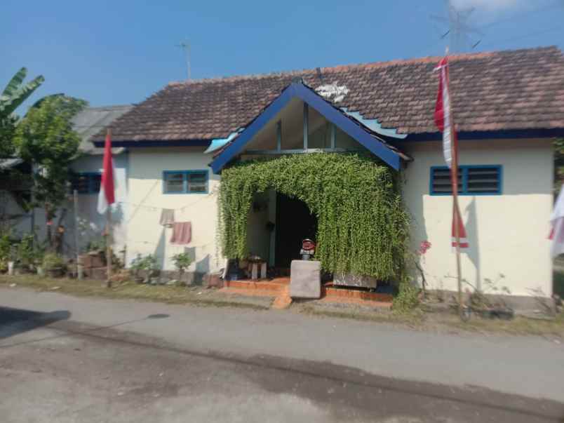 dijual rumah dijual rumah di desa