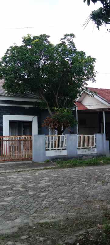 dijual rumah jl purwodadi
