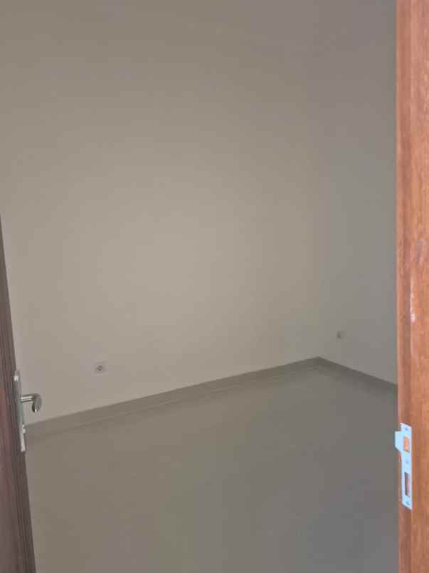 dijual rumah kelapa hybrida kelapa gading