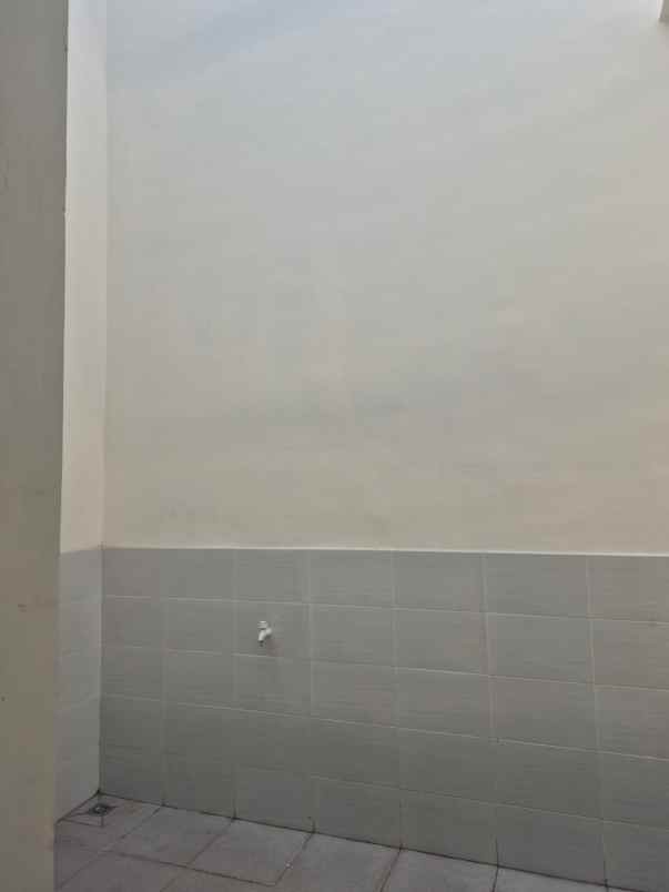 dijual rumah kelapa hybrida kelapa gading