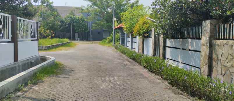 dijual rumah klampis