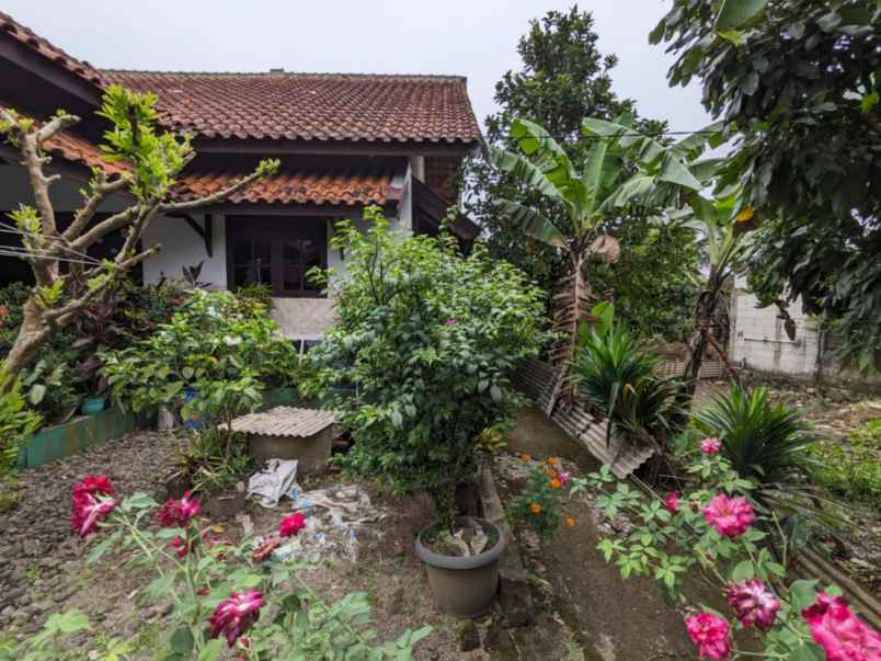 dijual rumah laladon