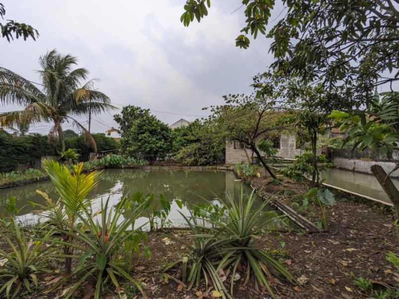 dijual rumah laladon
