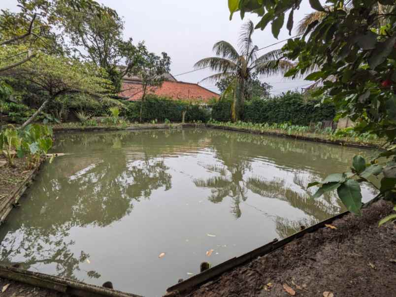 dijual rumah laladon