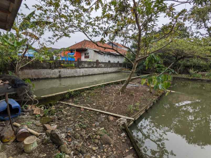 dijual rumah laladon