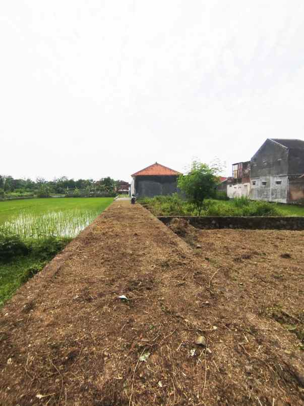 dijual tanah 400 meter sma 1 banguntapan