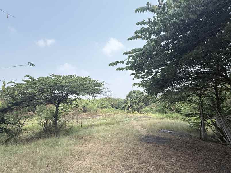 dijual tanah cibarusah