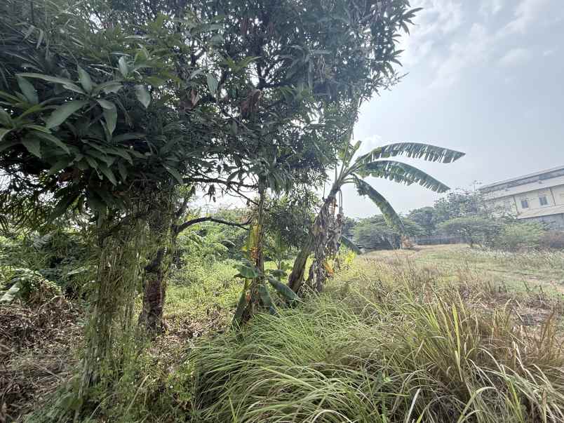 dijual tanah cibarusah