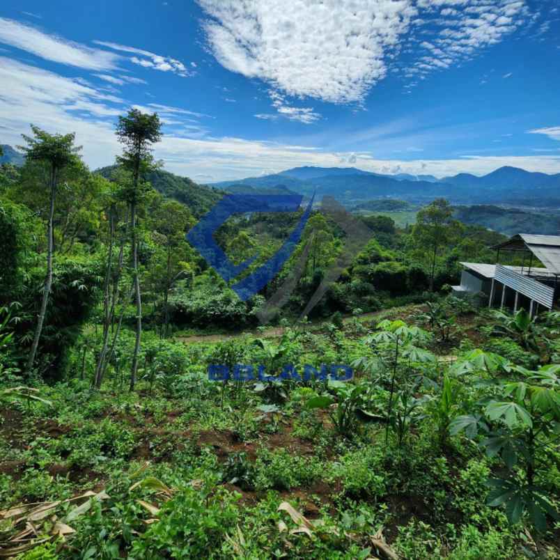 dijual tanah ciwidey