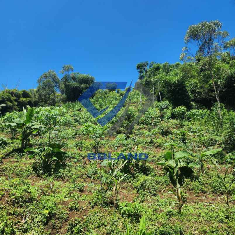 dijual tanah ciwidey