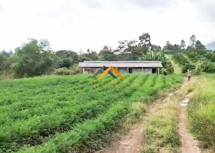 dijual tanah daerah simalungun jl