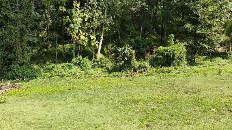 dijual tanah desa bajera selemadeg