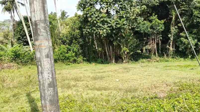 dijual tanah desa bajera selemadeg